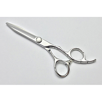 6.0 Inches Hair Scissors