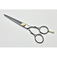 Hair Scissors