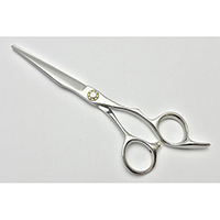 6.5 Inches Hair Scissors